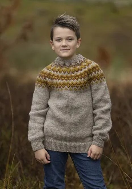 Hovedbilde Katalog 2302-2 Cygnos genser 2 - 12 år