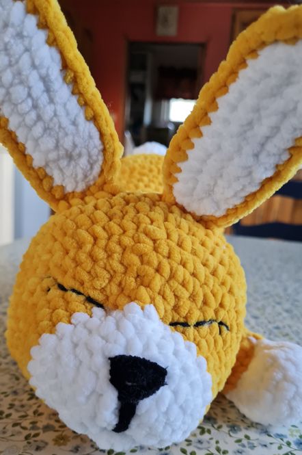 Hovedbilde Sovekanin Gul